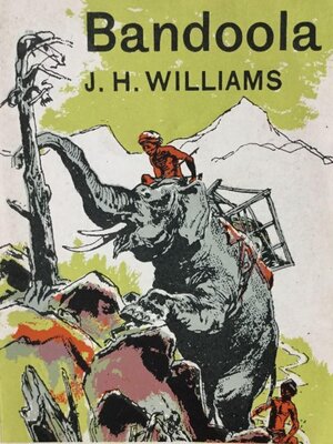 cover image of Bandoola